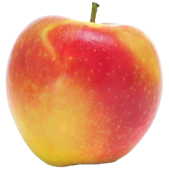An ambrosia apple, with a mix of red and yellow skin.