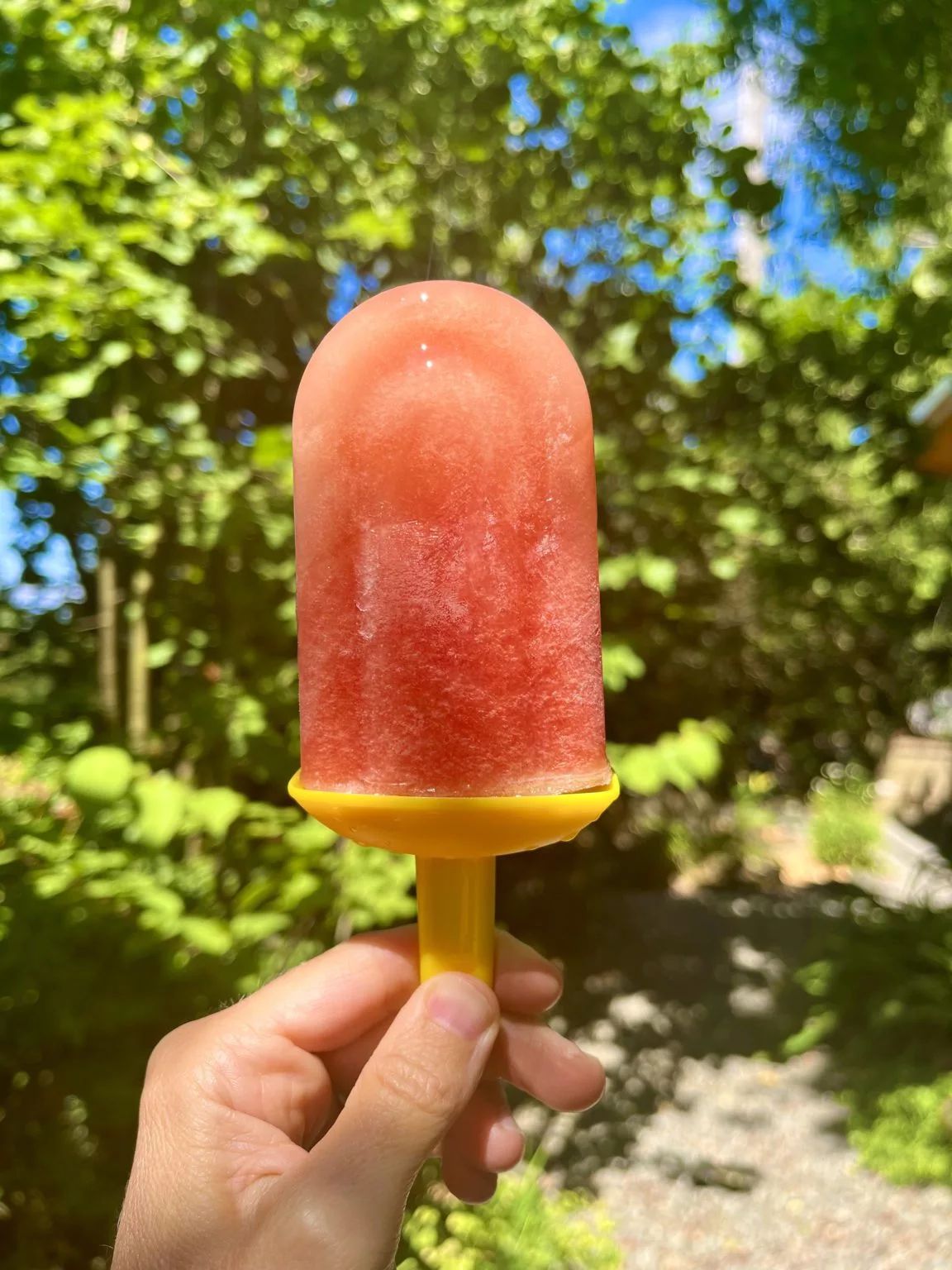 Stay Hydrated with Watermelon Electrolyte Popsicles