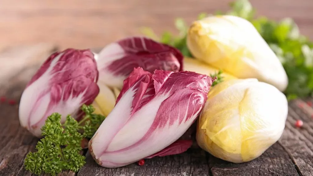 Your Guide to Chicory