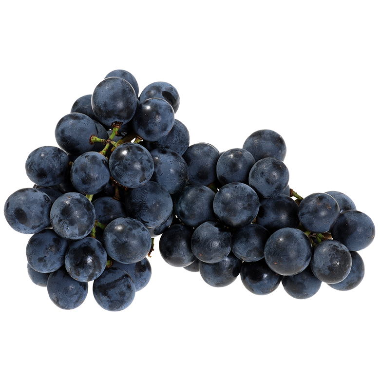 concord grapes