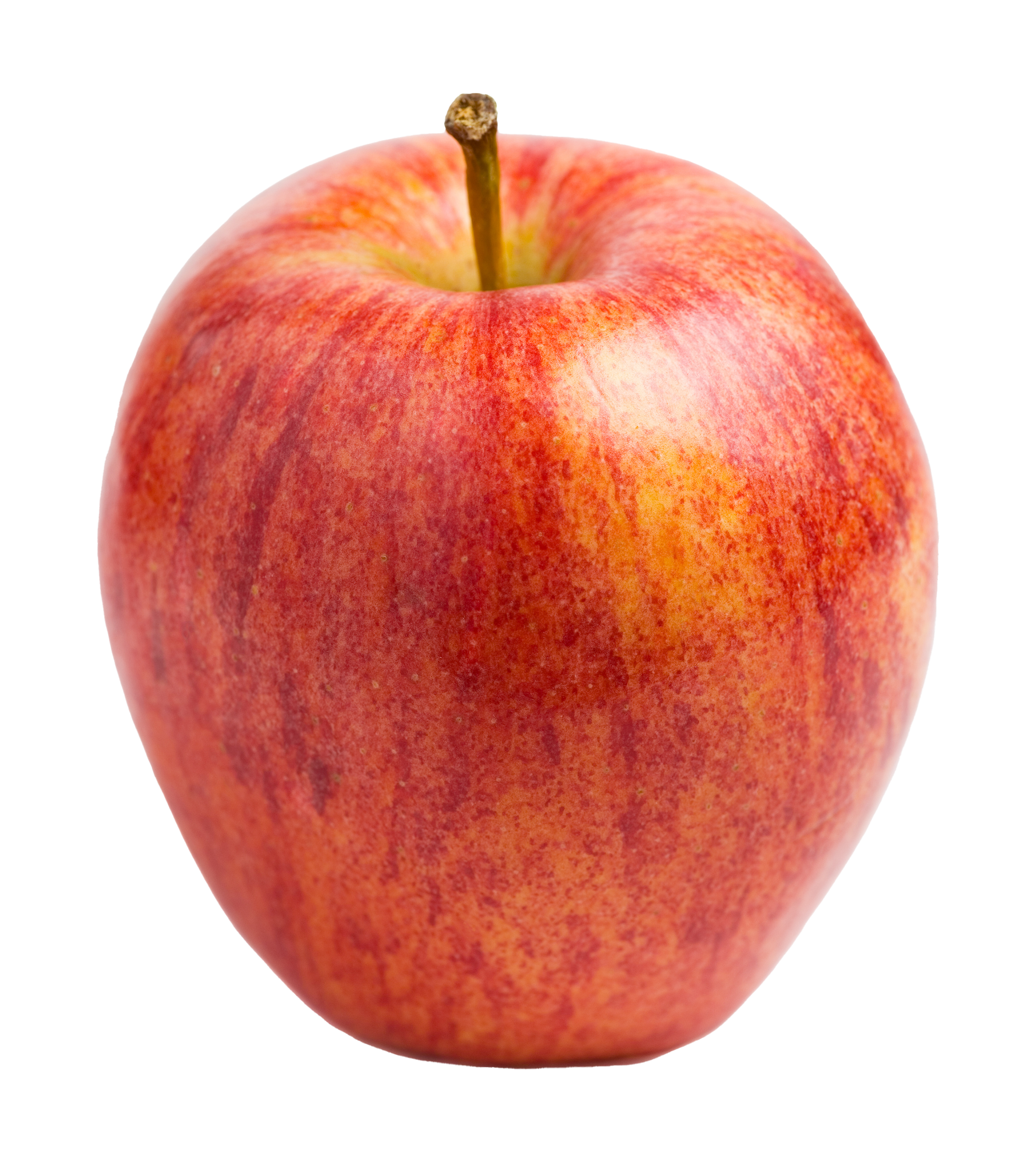 organic honeycrisp apple