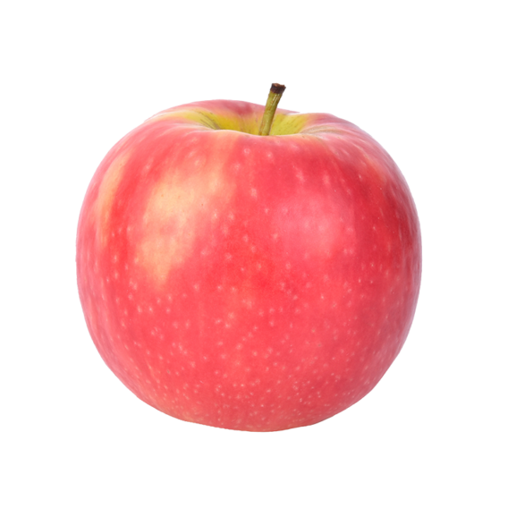 pink lady apple