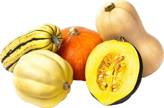 squash varieties, butternut, acorn, delicata, pumpkin
