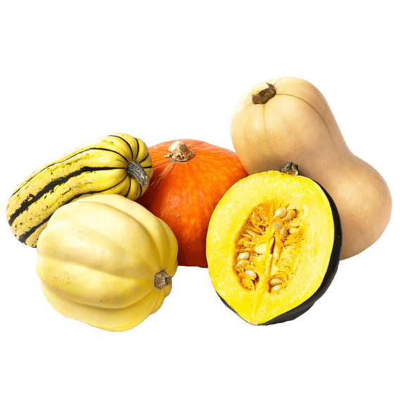 squash varieties, butternut, acorn, delicata, pumpkin