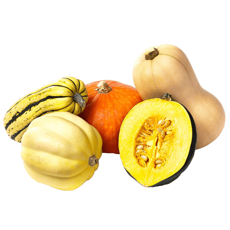 squash varieties, butternut, acorn, delicata, pumpkin