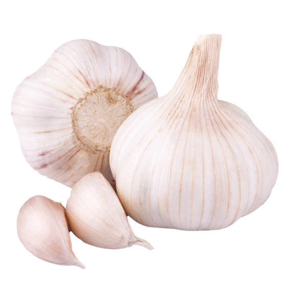 organic white garlic