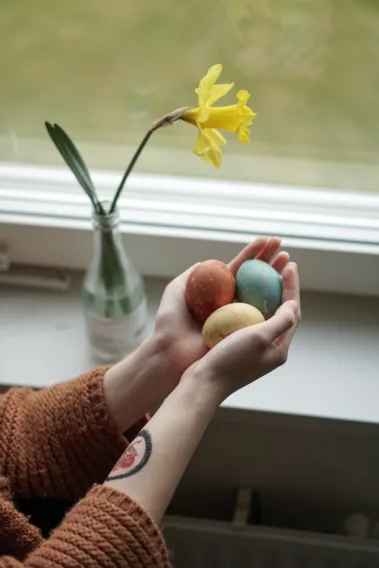 Someone holds naturally dyed eggs in the window by a daffodil.