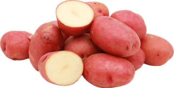 organic red potatoes