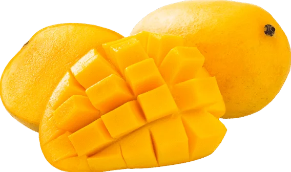 altaulfo mangoes