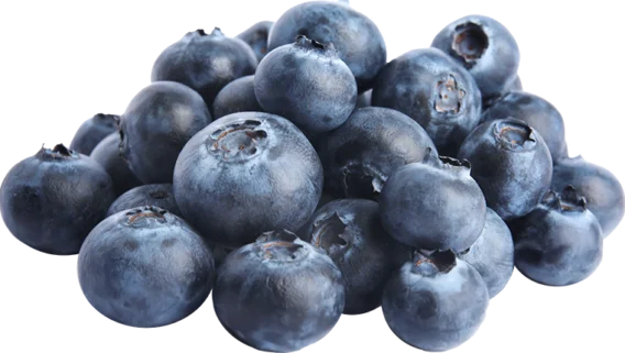 organic blueberries