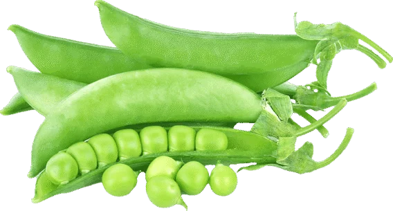 organic sugar snap peas