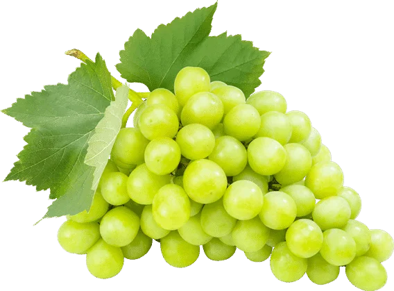 Organic grapes