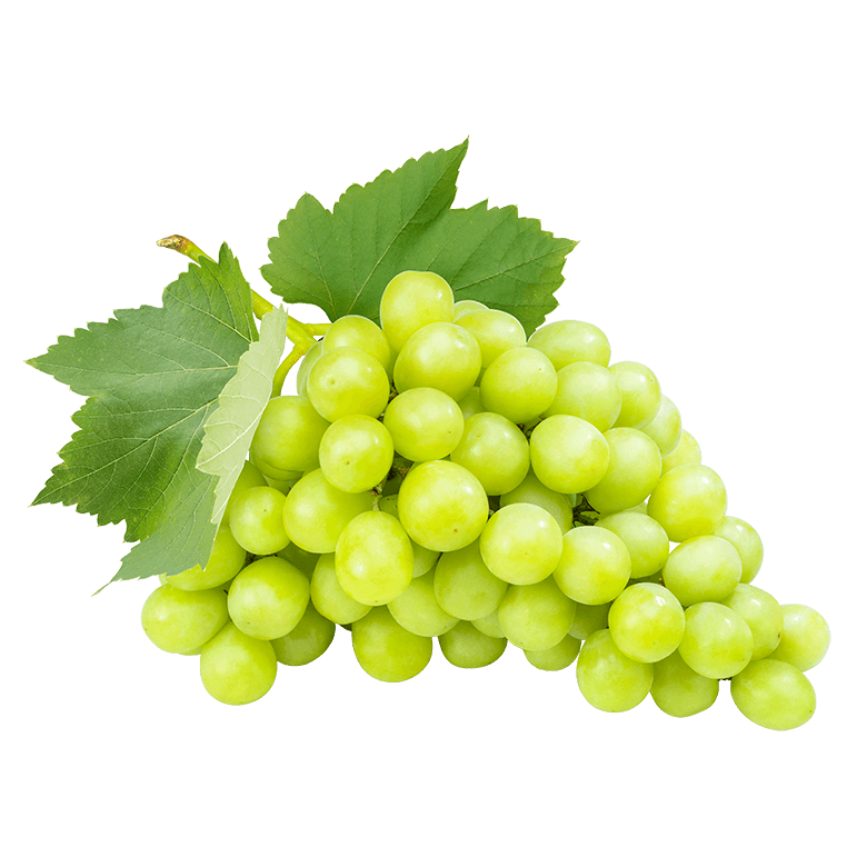 seedless grapes