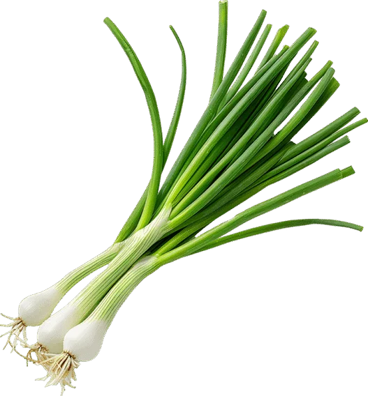 organic green onions
