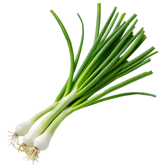 organic green onions