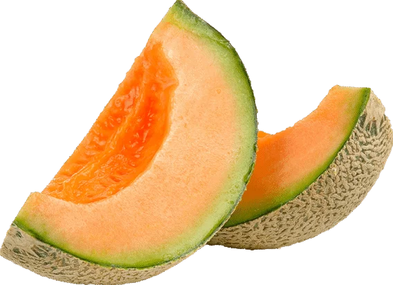 cantaloupe