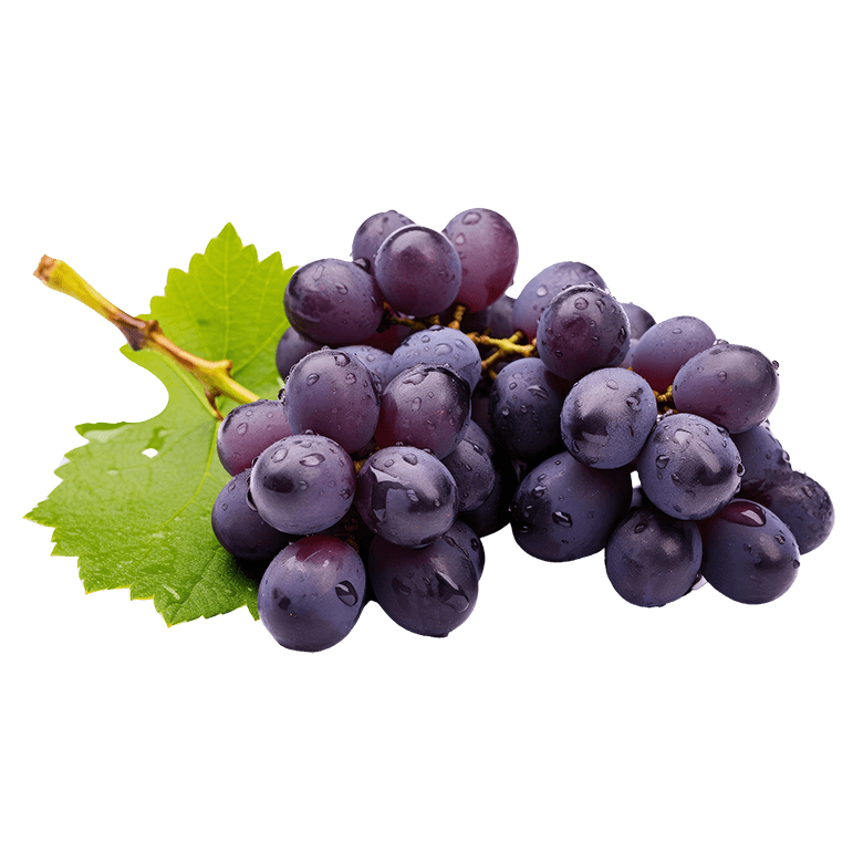 concord grapes