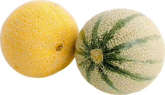 organic melons