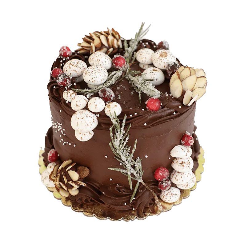 winter wonderland cake