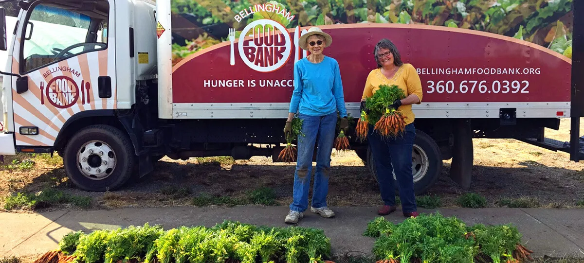 bellingham food bank volunteers harvest fresh carrots from Growing Veterans farm in Lynden, WA