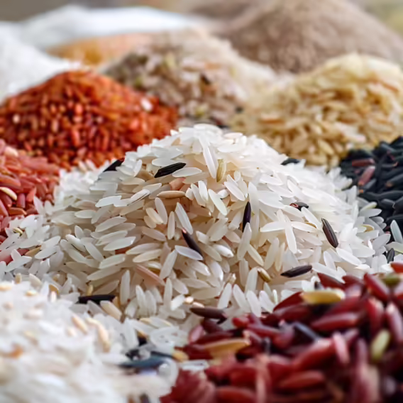 Bulk-Sale_Rice-grains-varieties