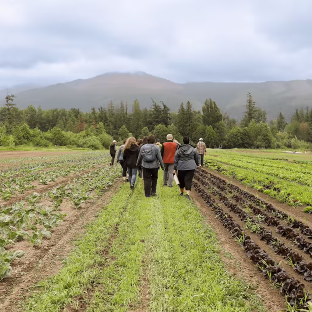 Community Food Coop staff walking on farm fields