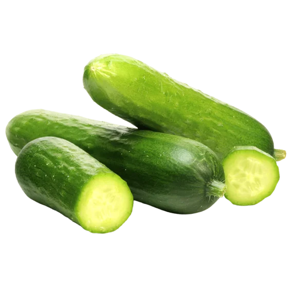 Cucumber Persian