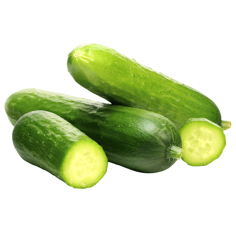 Cucumber Persian