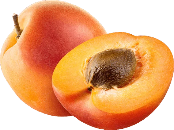 Apricot