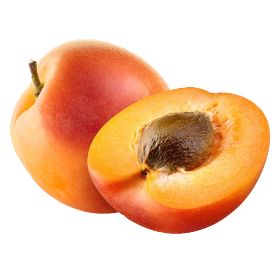 Apricot