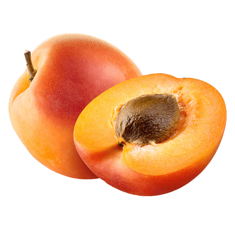 Apricot
