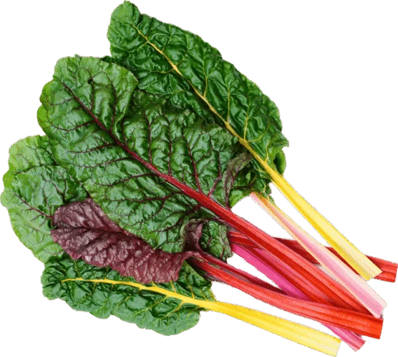 Chard