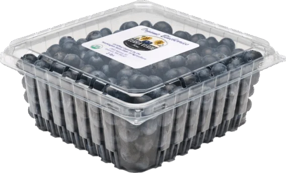 Terra Verde Farm_blueberries