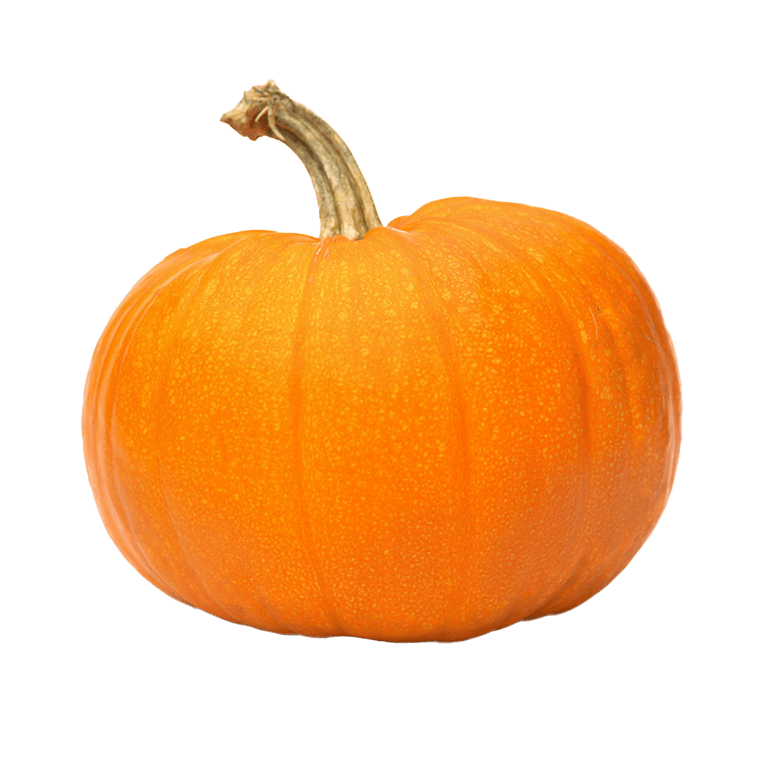 Carving Pumpkin - Community Food Coop