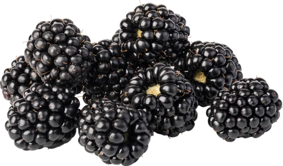 blackberries